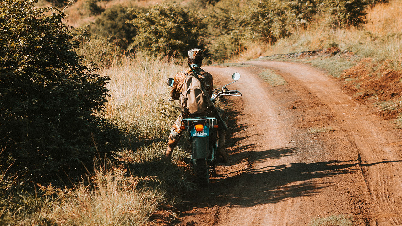 190618 wade-lambert-681696-unsplash